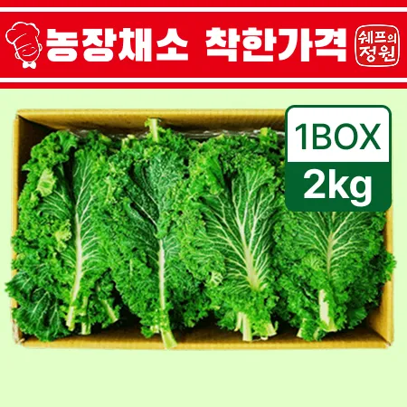 ❤️청겨자 겨자잎 (상2kg/BOX)❤️