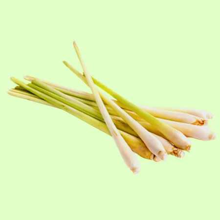 ⭐️레몬그라스 생 수입산(500g/EA)⭐️