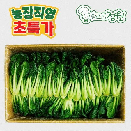 ❤️비타민(다채) (2kg/BOX)❤️