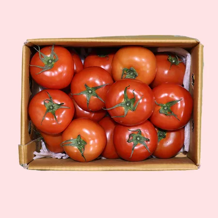 ❤️유럽종 완숙토마토 중과(15-20과) 3kg❤️