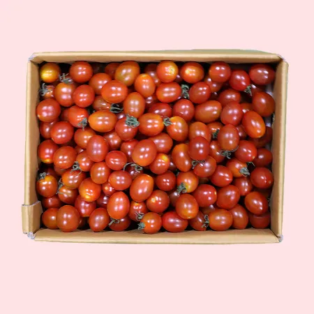 ❤️대추방울토마토 대과 3kg❤️