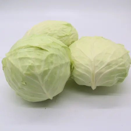 양배추 깐것 국내산 크기랜덤 (5kg/BOX) 이미지