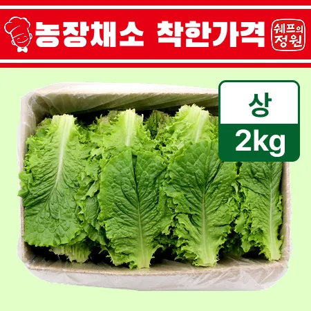 ❤️로메인상추 (상 2kg/BOX)❤️
