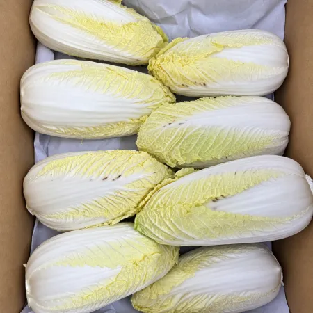 알배기배추 상 국내산 실속 12-16입 6kg 이미지
