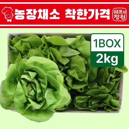 ⭐️버터헤드 샐러드채소 (2kg/EA)⭐️