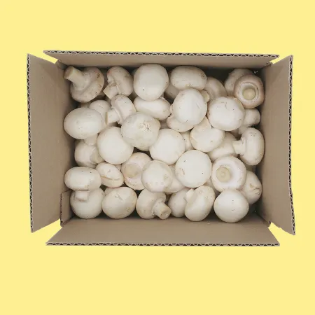 ⭐️양송이버섯(실속) 1kg⭐️