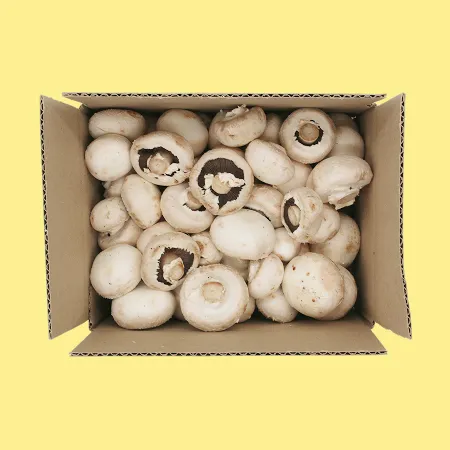 버섯  양송이 버섯(B급) 찌개용 1kg