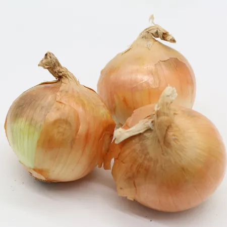 하루 양파 국내산 1번 2kg (EA) 이미지