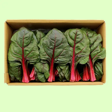 ❤️적근대 (상 2kg/BOX)❤️