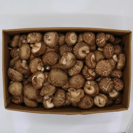 ⭐️표고버섯(상, 수입산) 1kg⭐️