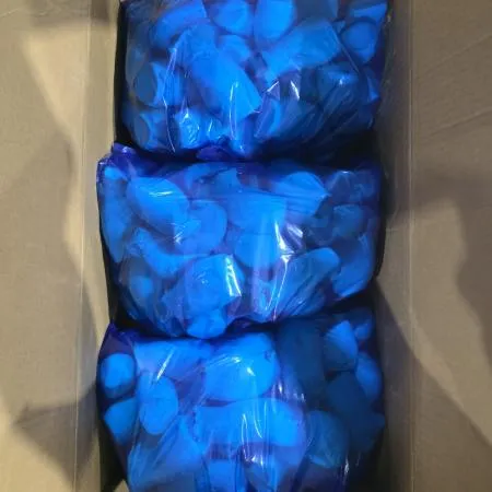 ⭐️한정수량 새송이버버섯(실속, 파지) 2kg 1봉⭐️ 이미지