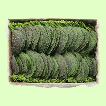 ⭐️깻잎 찹찹이 쌈용 상 (1kg/EA)⭐️