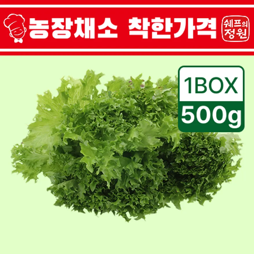 ⭐️프릴아이스 샐러드채소 (500g/EA)⭐️ 이미지