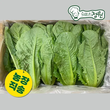 ★농장특가★ 통로메인(국내산/2kg/BOX)  [쉐프의정원 농장직영 채소]