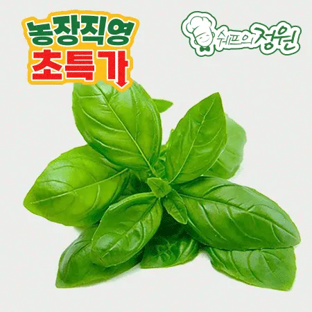 ⭐️허브 바질 (100g/EA️) ⭐️
