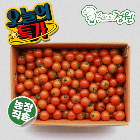 ❤️방울토마토 3번 (5kg/BOX)❤️