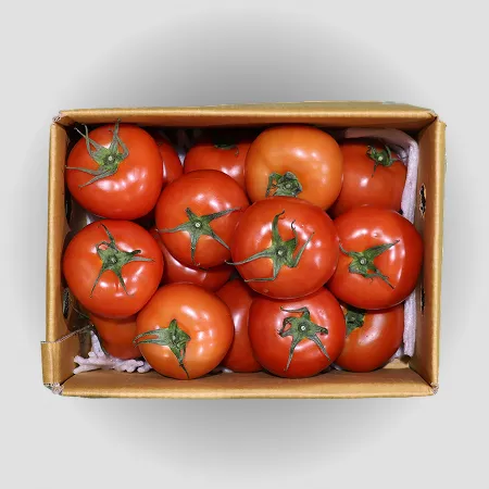 ❤️유럽종 완숙토마토 중과 3kg❤️