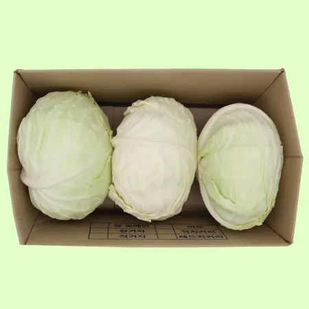 양배추 깐 크기랜덤 일부 추대갈라짐 국산 (5kg)