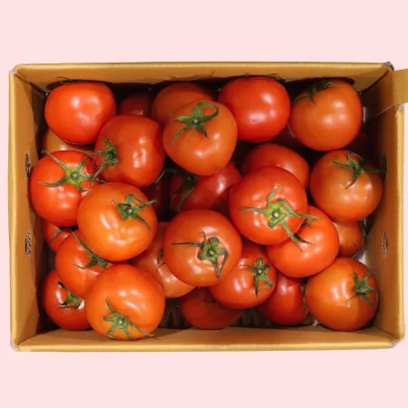 토마토 유럽종 완숙 소과(30-40과) 5kg