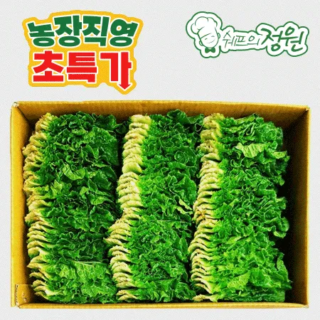 ❤️쌈추(쌈배추) (상 1kg/BOX)❤️