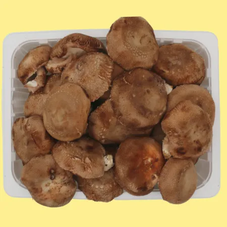 버섯  표고버섯(실속 국내산) 500g