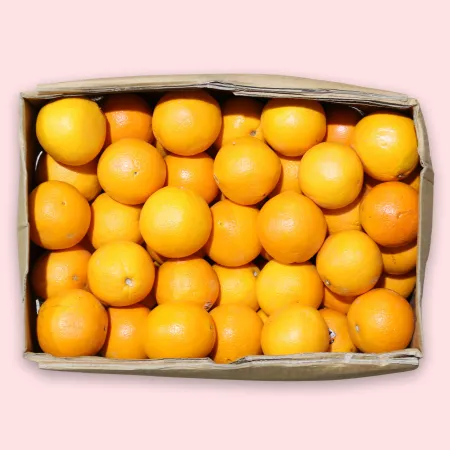 오렌지 88과 17kg (개당 200g) 콤보급