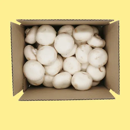 ⭐️양송이 버섯(상) 1kg⭐️