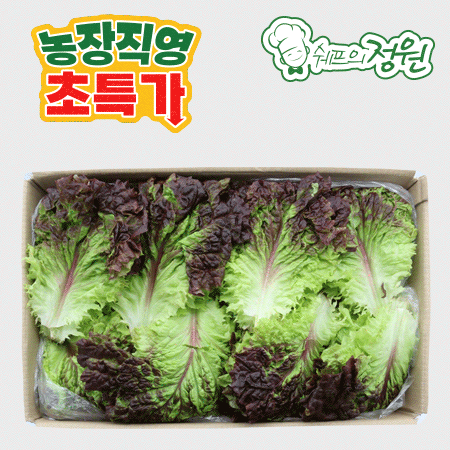 ❤️꽃상추 적상추 (상 4kg/BOX)❤️