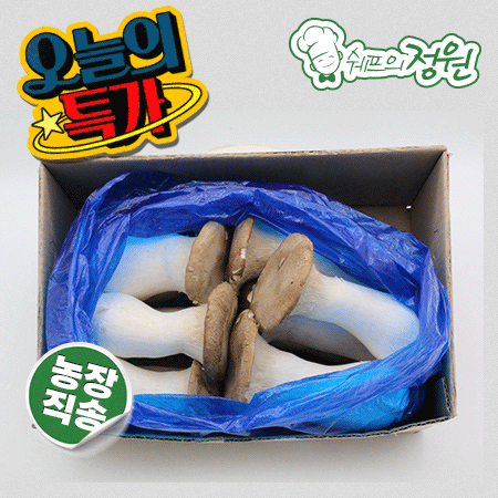 ★버섯특가★ 새송이버섯(국산 상 2Kg/BOX)