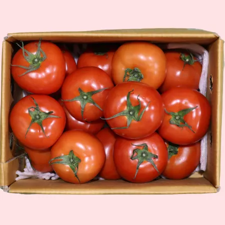 토마토 유럽종 완숙 소과(18-22과) 3kg