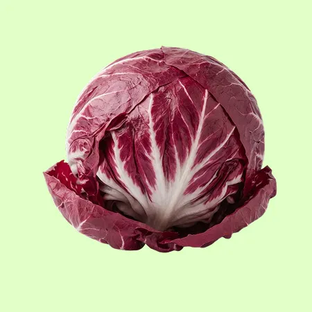 ⭐️라디치오 특 (450g-600 내외/통) 국내산⭐️