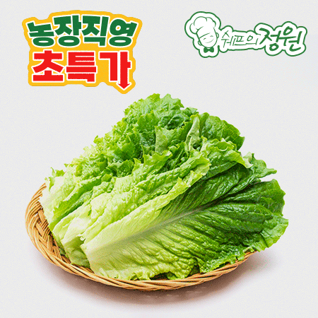 ⭐️청상추 상 (500g/EA️)⭐️