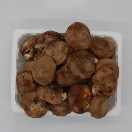 ⭐️표고버섯(실속,파지) 500g⭐️