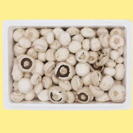 버섯  양송이 버섯(실속) 2kg