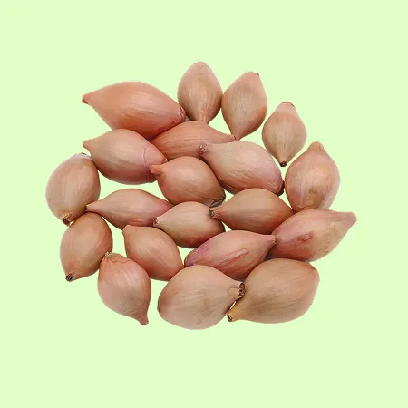 ⭐️샬롯 샬럿 수입산 (500g/EA️)⭐️