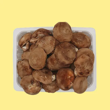 ⭐️표고버섯(실속 국내산) 500g⭐️