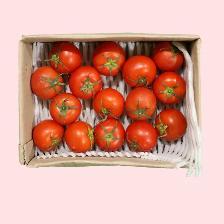 ❤️유럽종 완숙토마토 소과(12과-16과) 2kg❤️