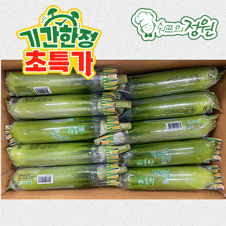 ❤️애호박 인큐 (상 20입/BOX)❤️