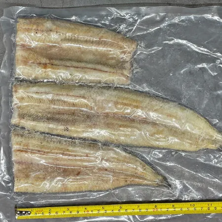 초벌 고창 풍천 장어 1kg 이미지