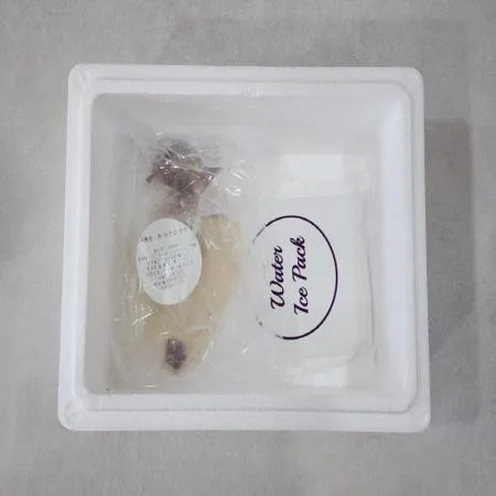 햇 반건조 한치 5미 100g 내외 베트남산 이미지