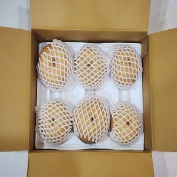 명품 성환 알뜰배 5kg 5~10과 내외