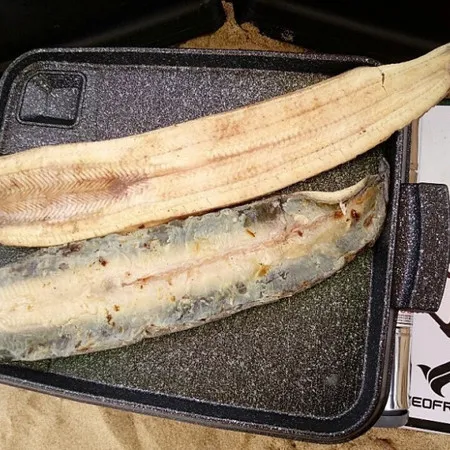 초벌 고창 풍천 장어 1kg