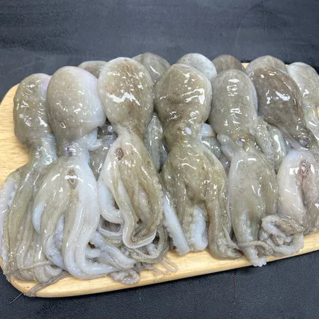 대왕 선동 활 쭈꾸미 1kg