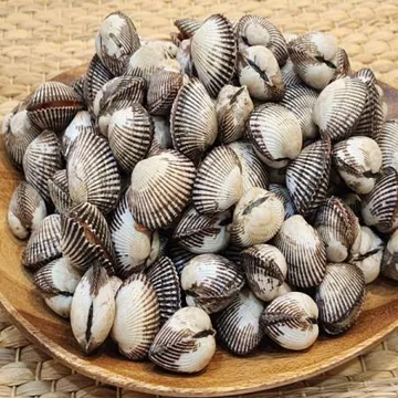 새꼬막 3kg 보성 여자만 300 ~ 390미 내외