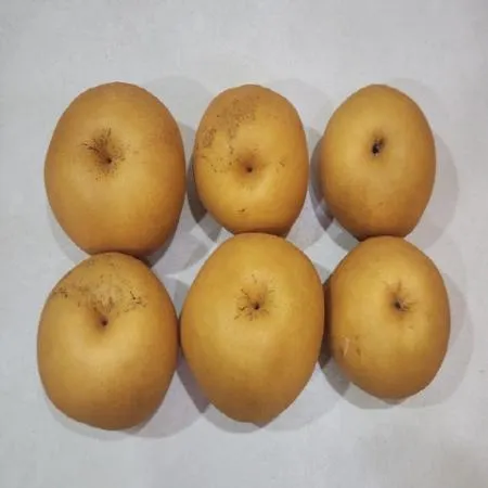 명품 성환 알뜰배 5kg 5~10과 내외 이미지