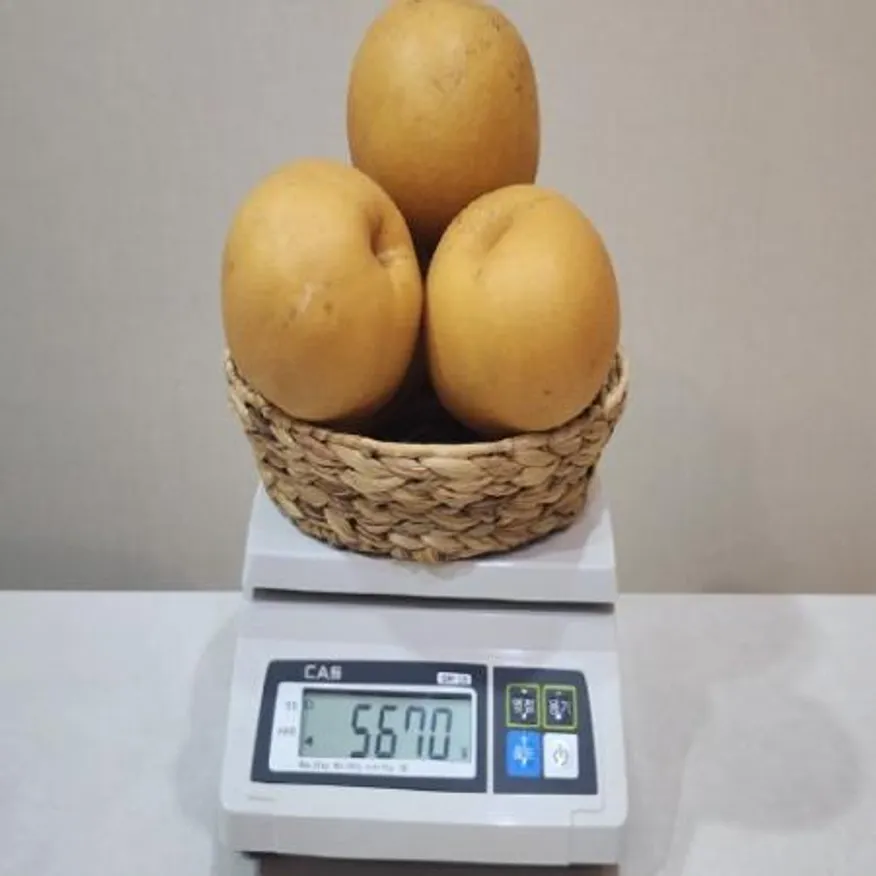 명품 성환 알뜰배 5kg 5~10과 내외 이미지