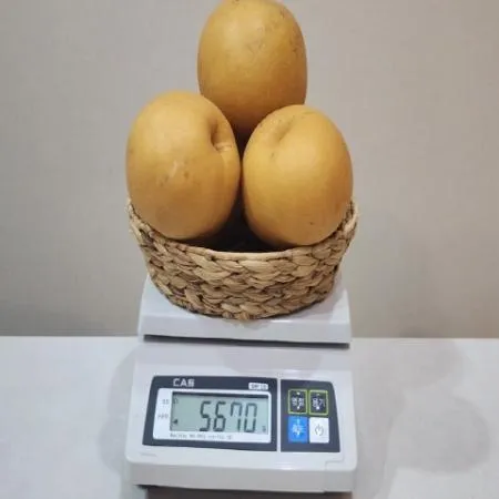 명품 성환 알뜰배 5kg 5~10과 내외 이미지