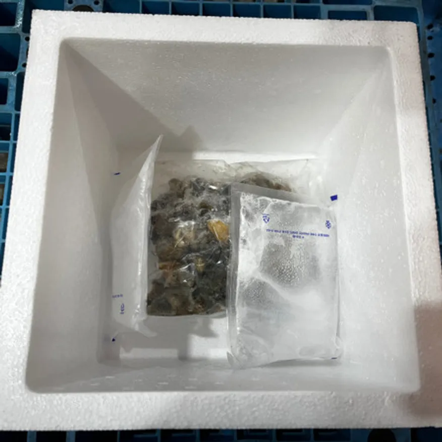 급냉 골뱅이 1kg 이미지