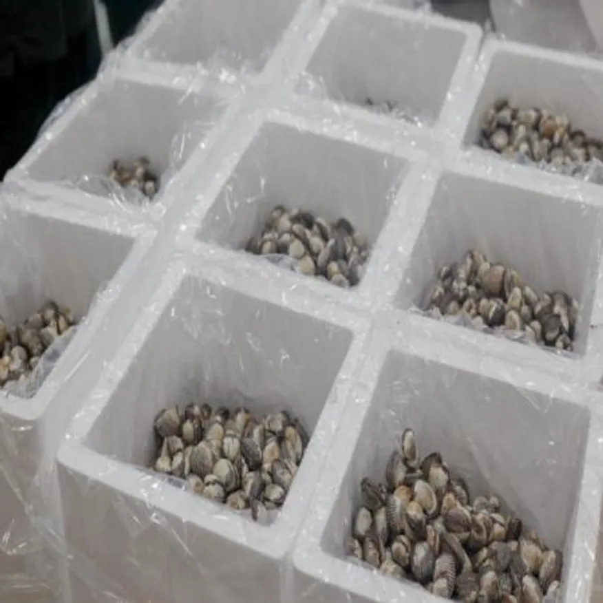 새꼬막 3kg 300 ~ 390미 내외 이미지