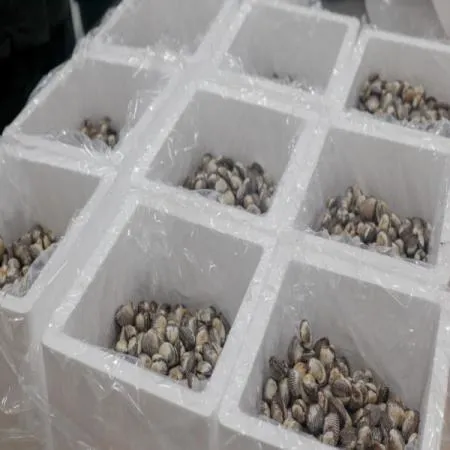 새꼬막 3kg 300 ~ 390미 내외 이미지